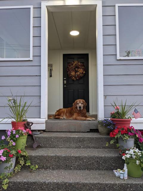 Idlewild Manor B&B Gold Beach Exterior photo